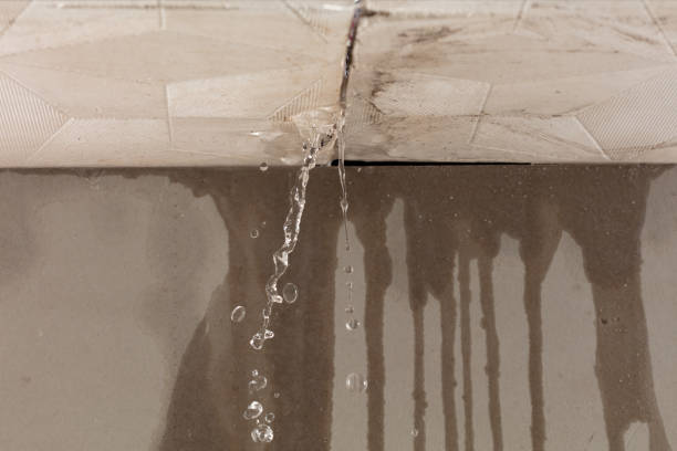 Professional Burst Pipe Cleanup technician working in Crestwood, KY